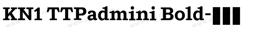 KN1 TTPadmini Bold字体转换 KN1 TTPadmini Bold字体转换